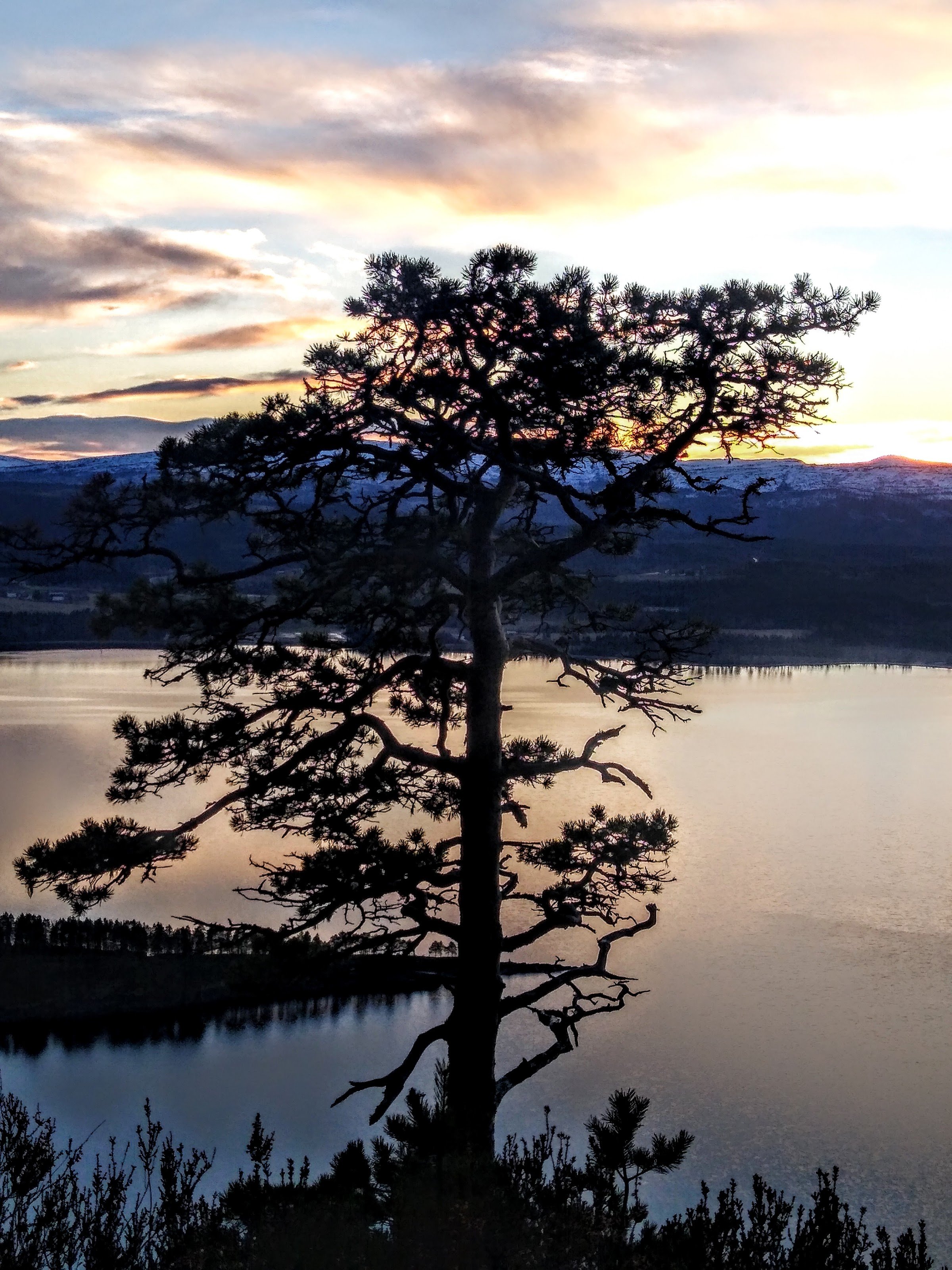 Roaldstein (fangstgroper)